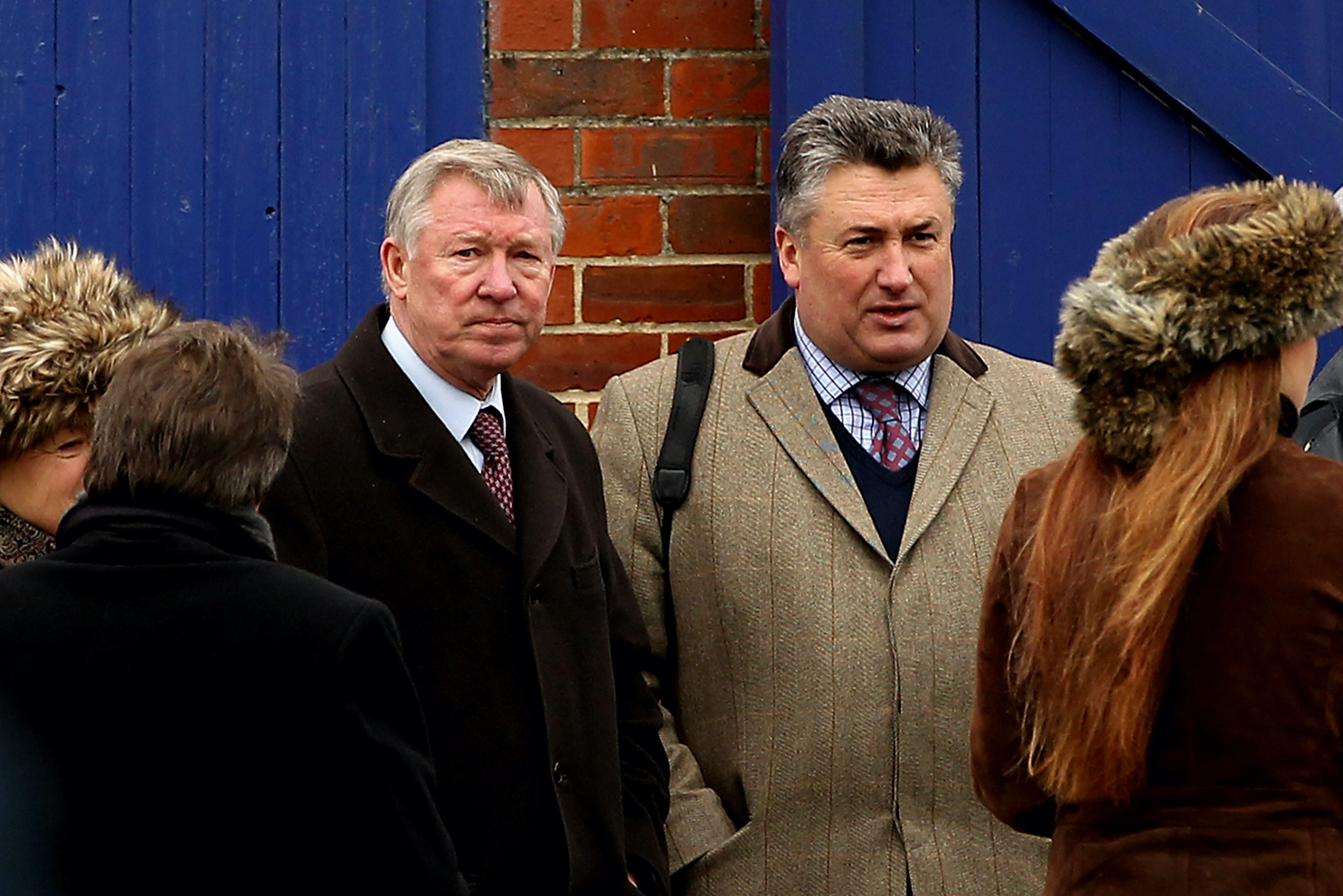 Sir Alex as competitive as ever as Nicholls targets Haydock glory 