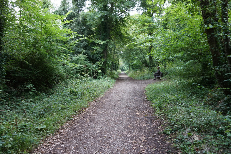 Stranger raped girl, 3, in Isle of Wight park after she was separated from family for ‘matter of minutes’