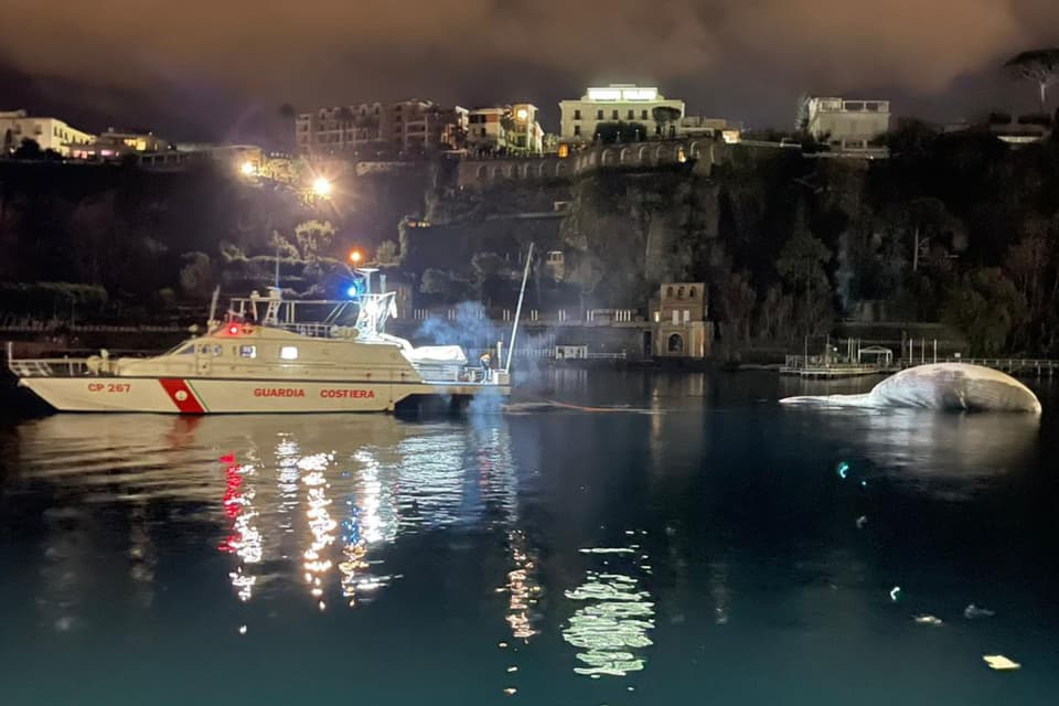 ITALY-ENVIRONMENT-ANIMAL