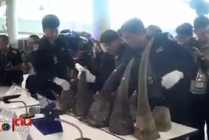 Inside China’s Rhino horn trade: Corrupt officers & prosecutors