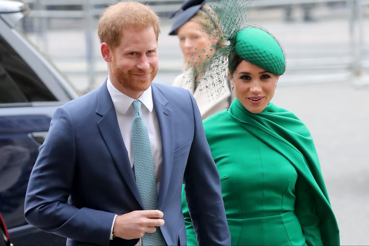 What patronages have Harry and Meghan lost and what do they have left?