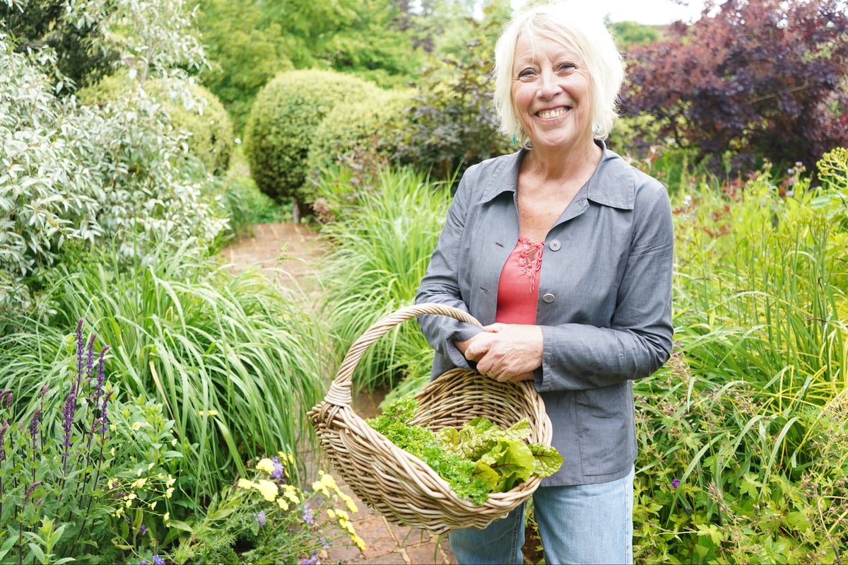 Young London SOS: Get gardening, back-to-school pupils told - Carol Klein
