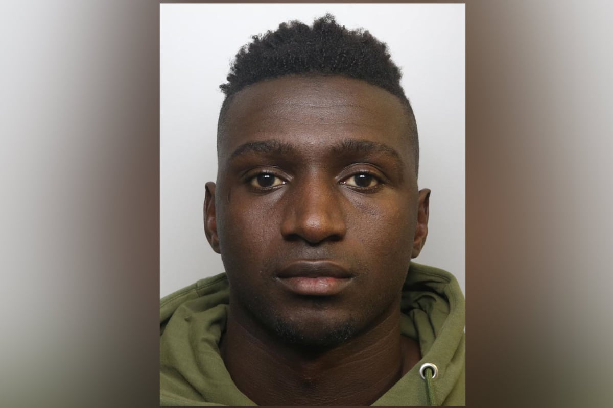 Former Bristol City goalkeeper who carried out two sex attacks on women in bar toilets is jailed