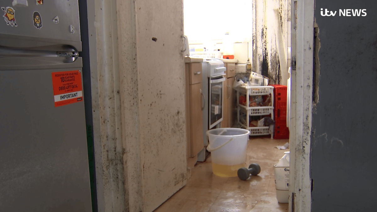 Hundreds of 'slum-like' homes still infested with damp and mould despite council coming  out of special measures