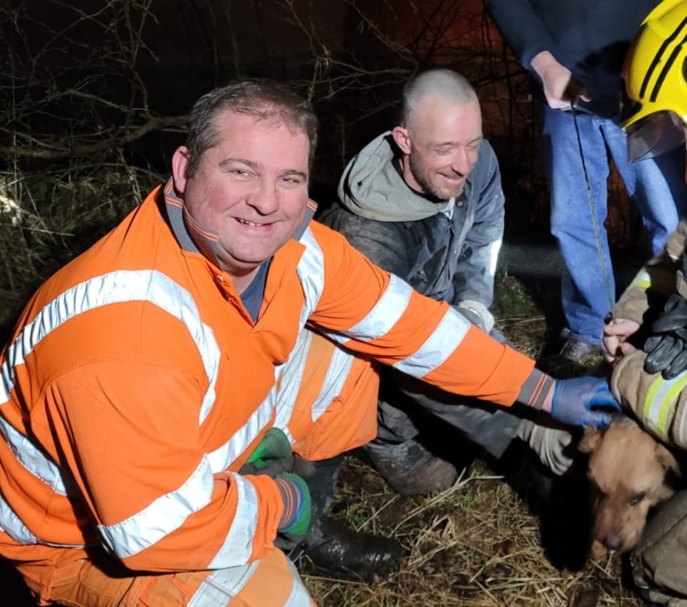 Family’s delight as pet dog Bailey trapped in fox hole is rescued