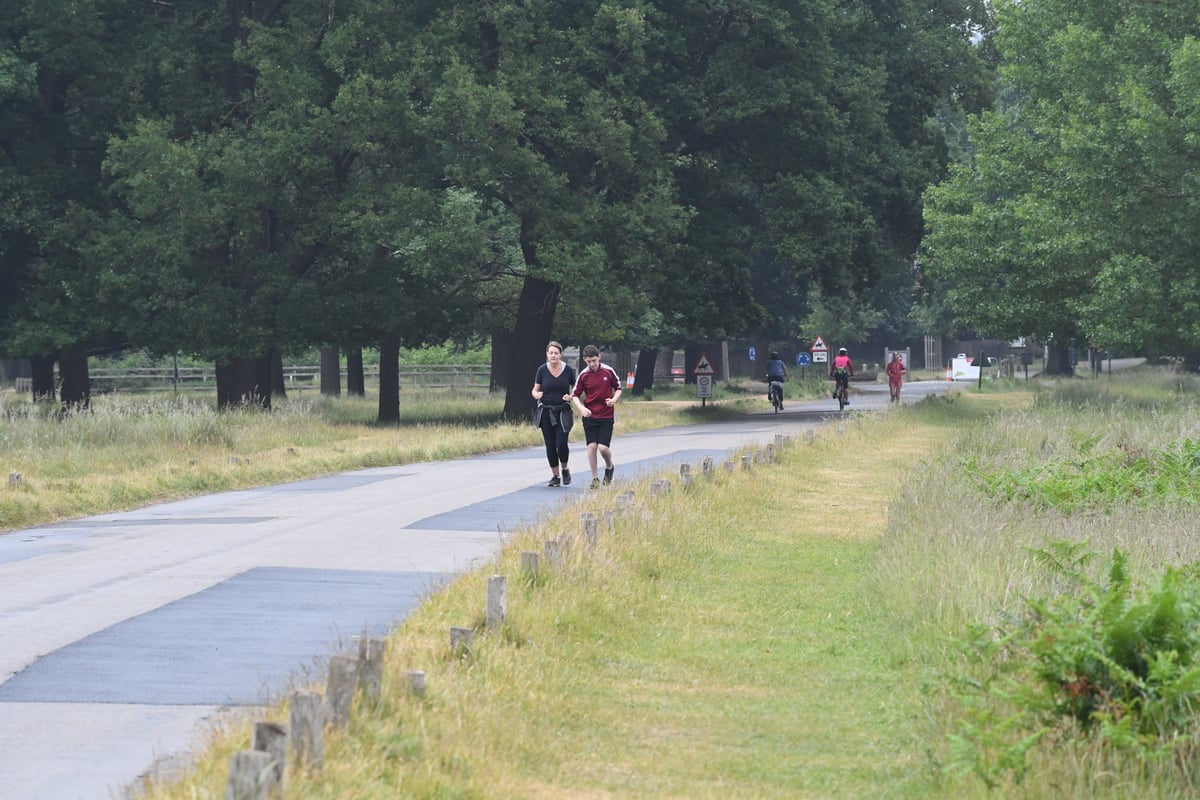 Row over fresh plans to scrap free parking in Bushy and Richmond parks