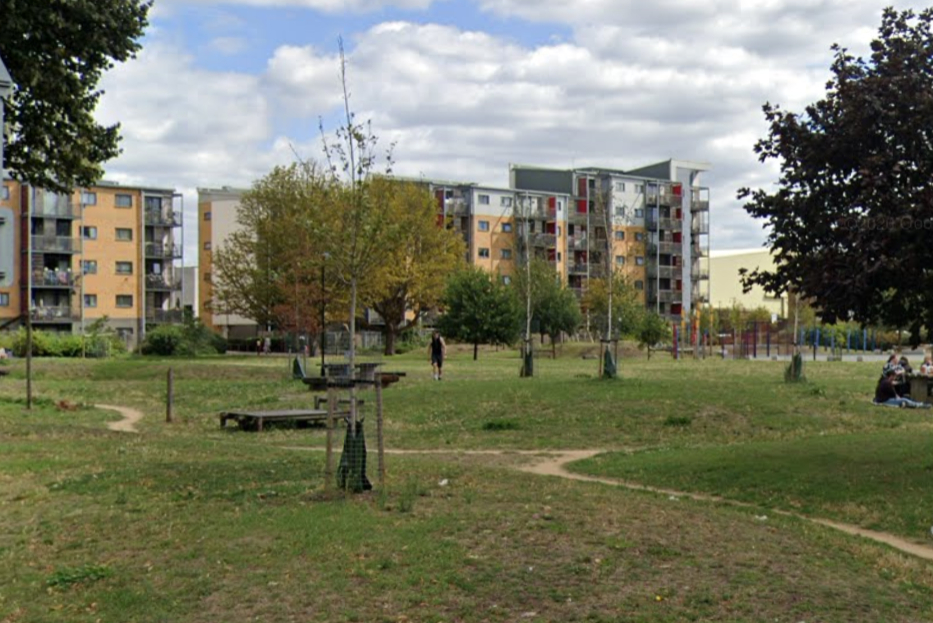 Police appeal after 15-year-old girl raped in south London park