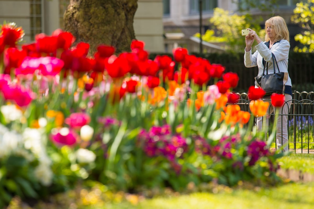 Crowd-sourced poem captures the arrival of spring
