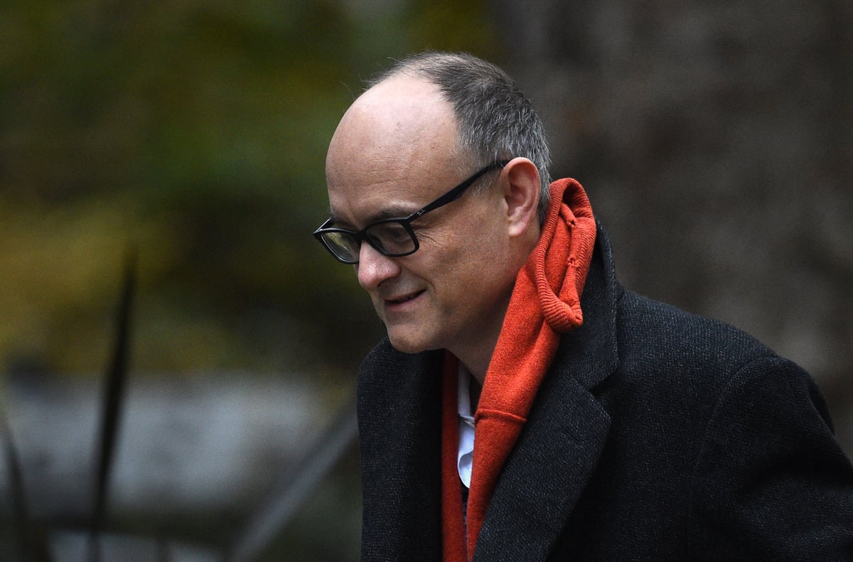 Dominic Cummings denies James Dyson  messages leak 