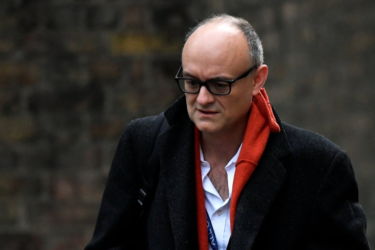 ‘Terrified’: Number 10 fears Dominic Cummings’ pandemic dossier