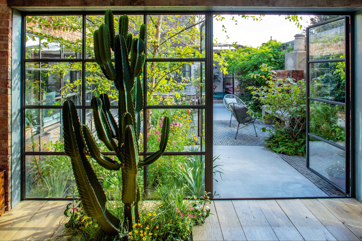 Courtyard gardens: How a designer created a desert-inspired garden in her London home
