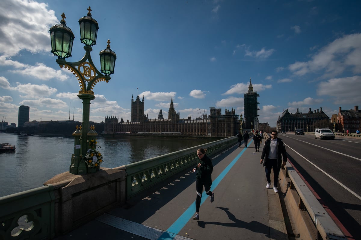 Campaigning group urges new Lord Speaker to abolish aristocrat elections
