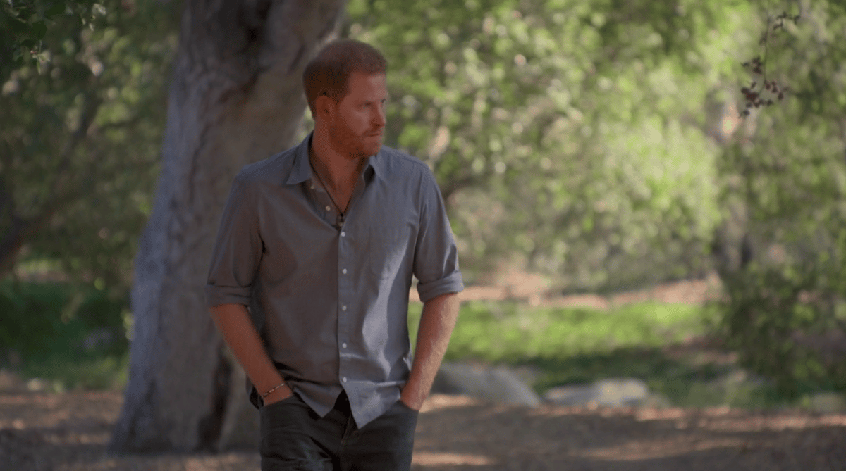 The Me You Can’t See review: Prince Harry and Oprah’s documentary moving but limited 