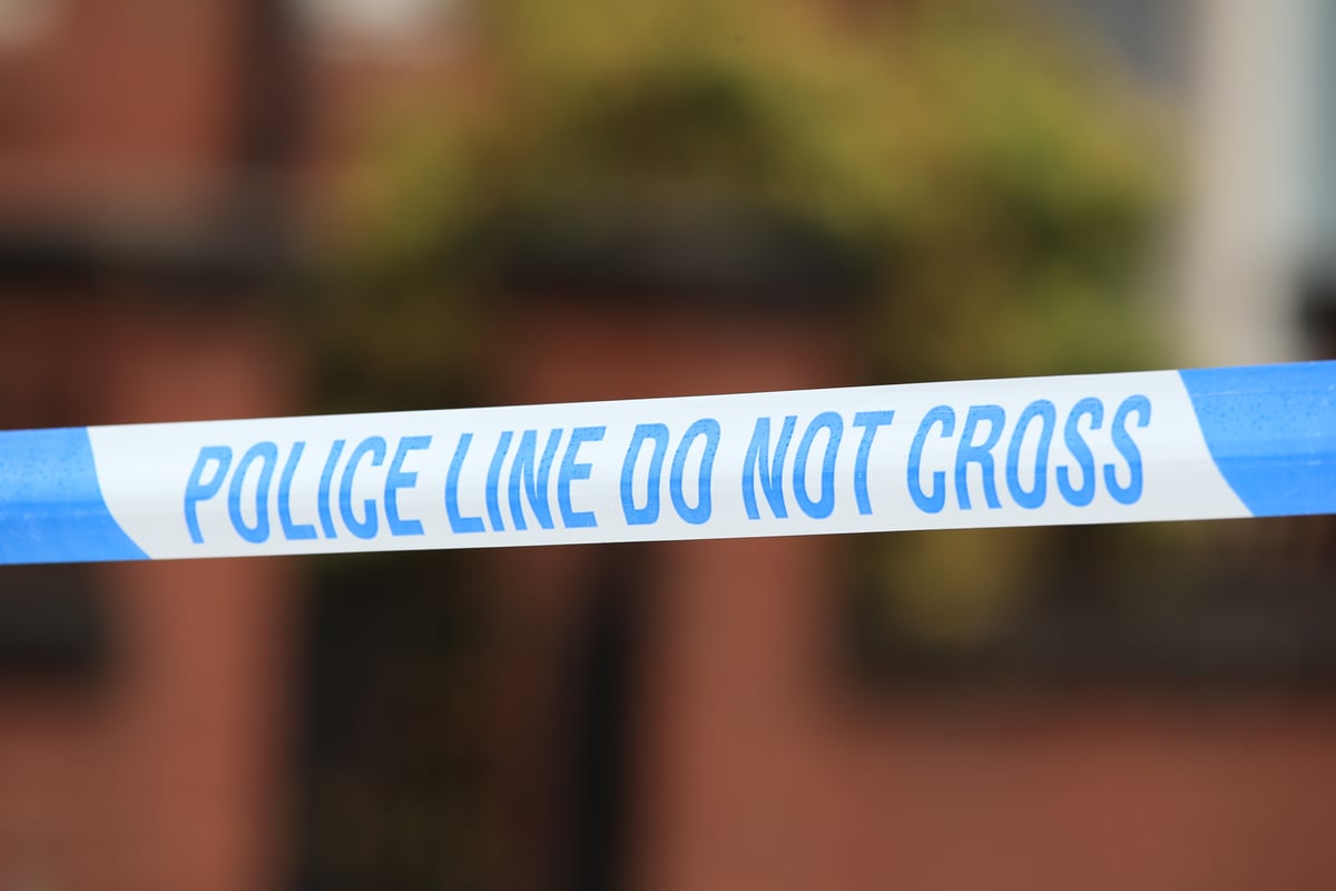 Met Police officer handed suspended prison sentence for baton attack in Romford  
