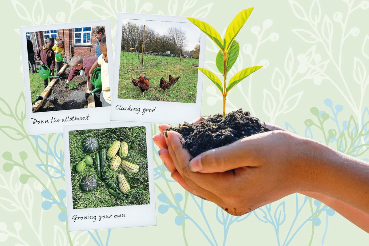 GROW: the London community farm leading a green revolution