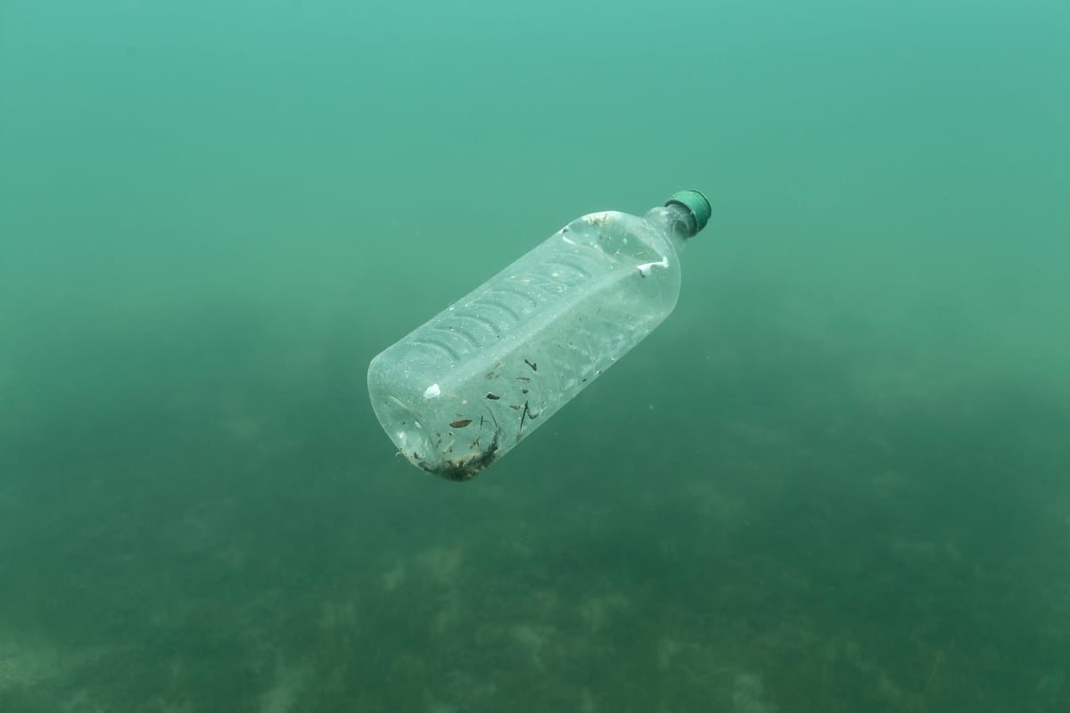 Half of plastic rubbish in the sea is from takeaways, university study