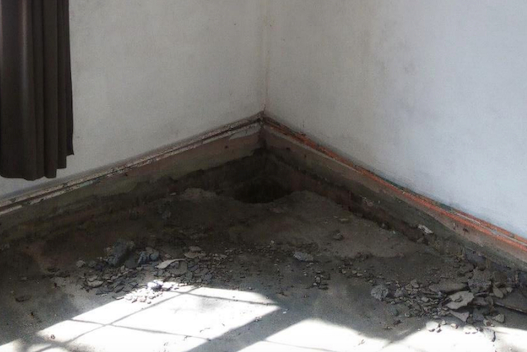 Mum wins £2,500 after being forced to live in cockroach-infested flat
