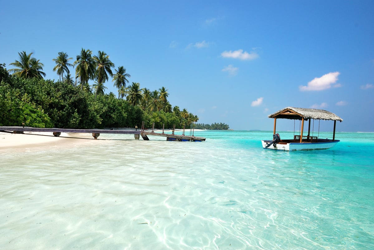 Red list bookings surge as holidaymakers await major overhaul of travel rules