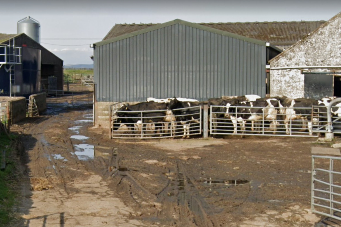 ‘Lovely’ woman dies in quad bike crash ‘looking for missing’ cow on dairy farm