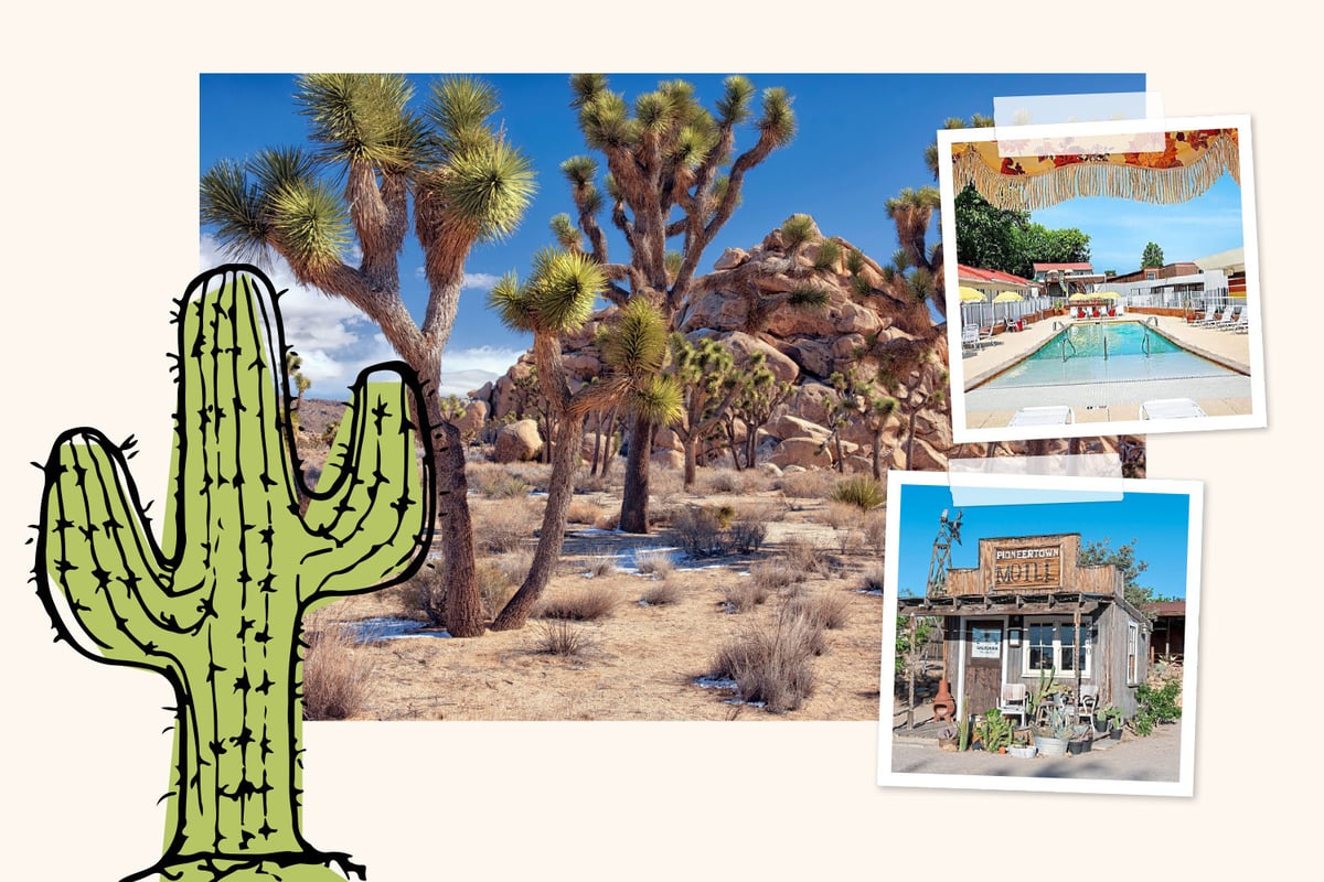 US travel: Your alt-travel guide to the American dream 
