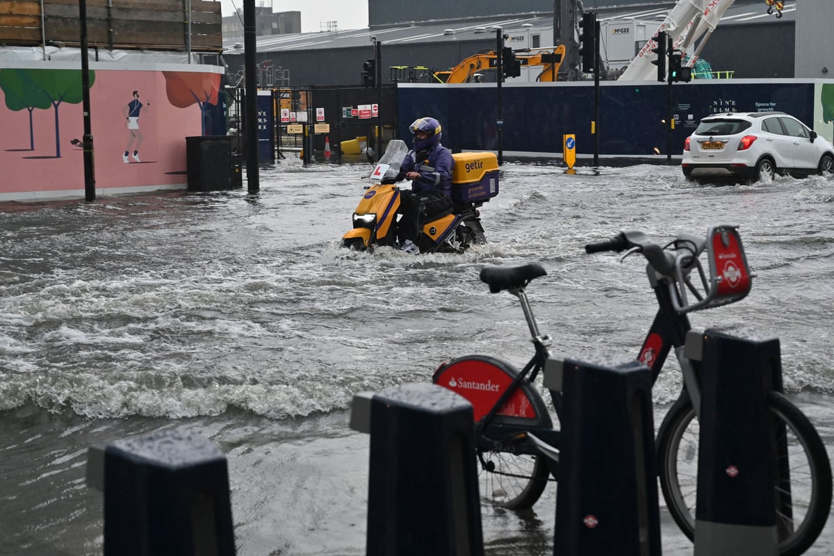 Fight to save London from climate emergency: Measures to combat global warming