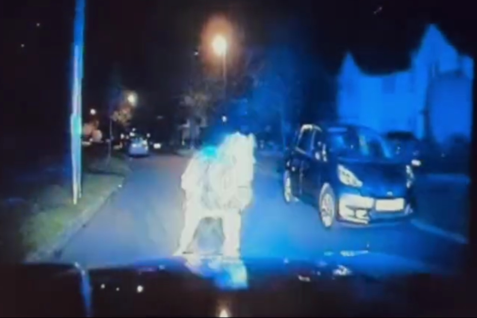 Runaway horse smashes into police car in Pinner