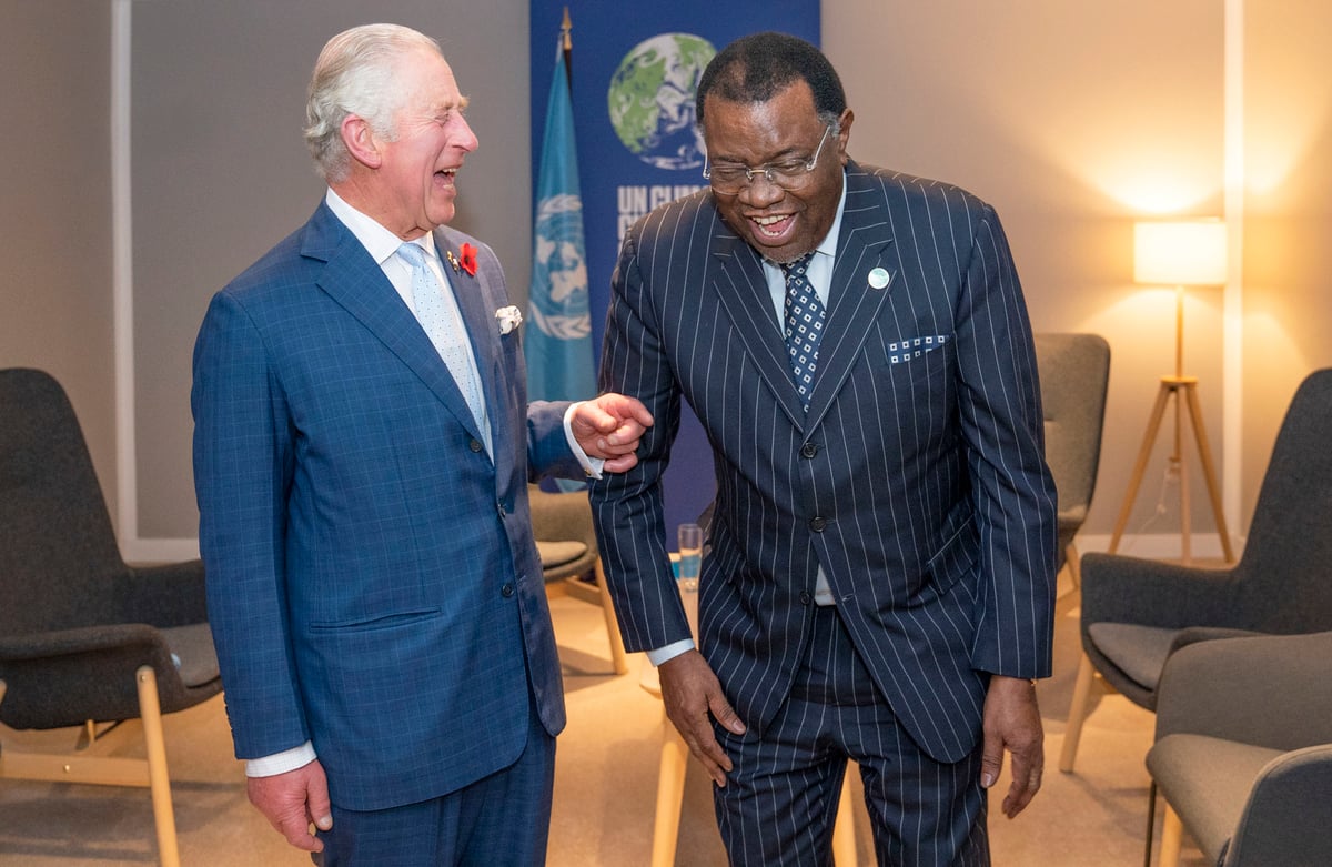 Charles urges Commonwealth leaders to help investors green economies