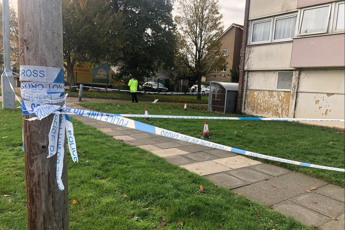 Woman critical after ‘falling from tower block’ as man arrested
