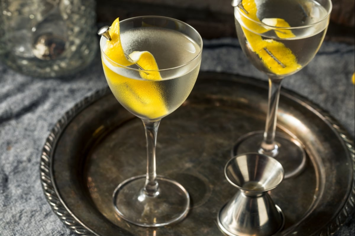 Seven icy vodkas for the perfect martini recipe by Aidy Smith