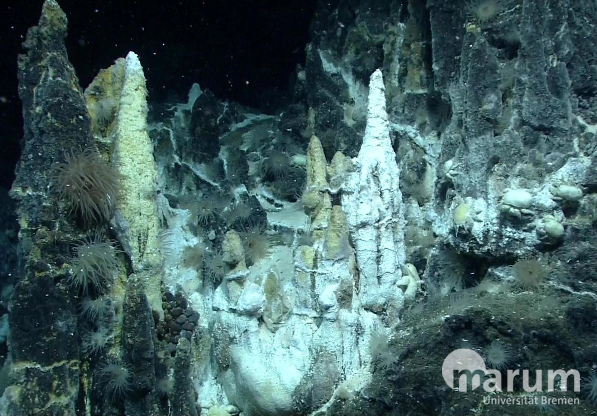 Almost two-thirds of species at deep-sea hydrothermal vents ‘at risk of extinction’