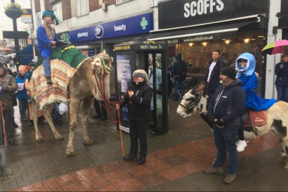 Furious animal rights activists to protest Chingford Nativity Procession that includes camel