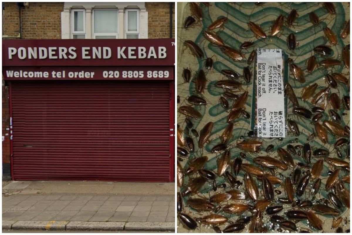 Enfield kebab shop prosecuted for cockroach and rat infestation