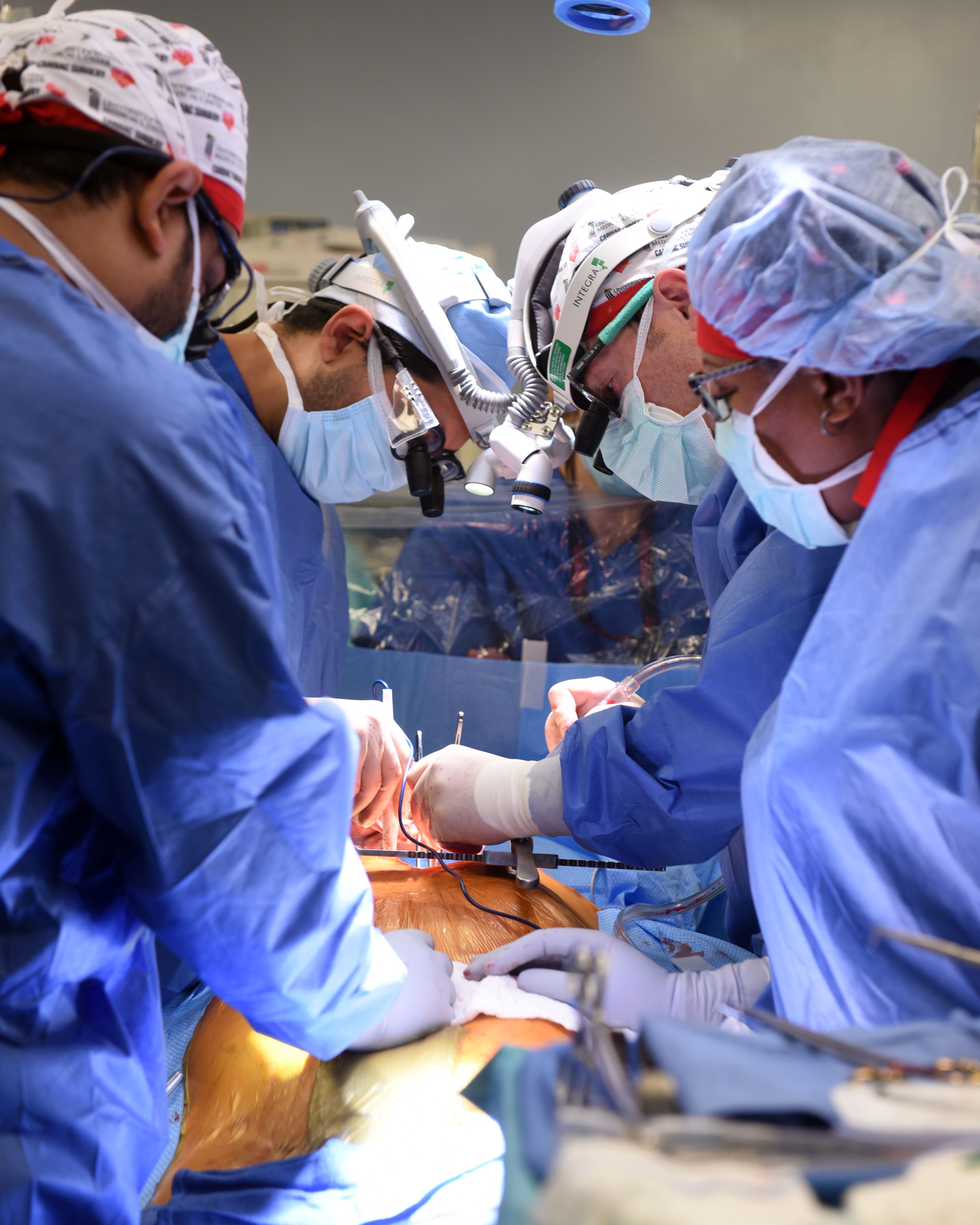 ‘Still some way to go before pig heart transplant becomes everyday reality’
