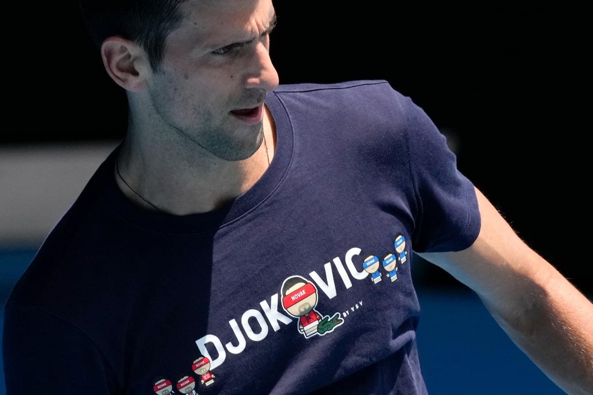 Novak Djokovic: What happens next?