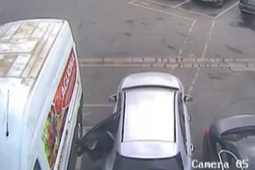 Watch: Heatbreaking moment dognappers steal nine-month poodle Smalia from van