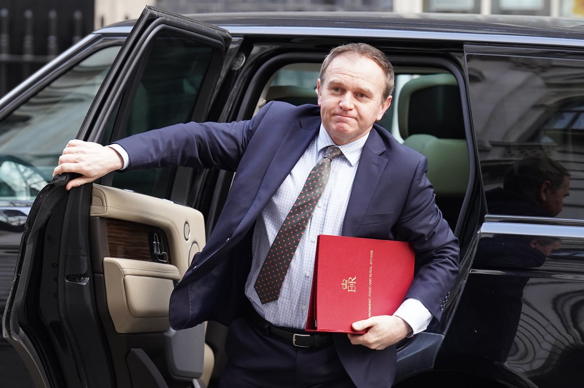 George Eustice: Buy value products over brand name food to combat cost of living crisis