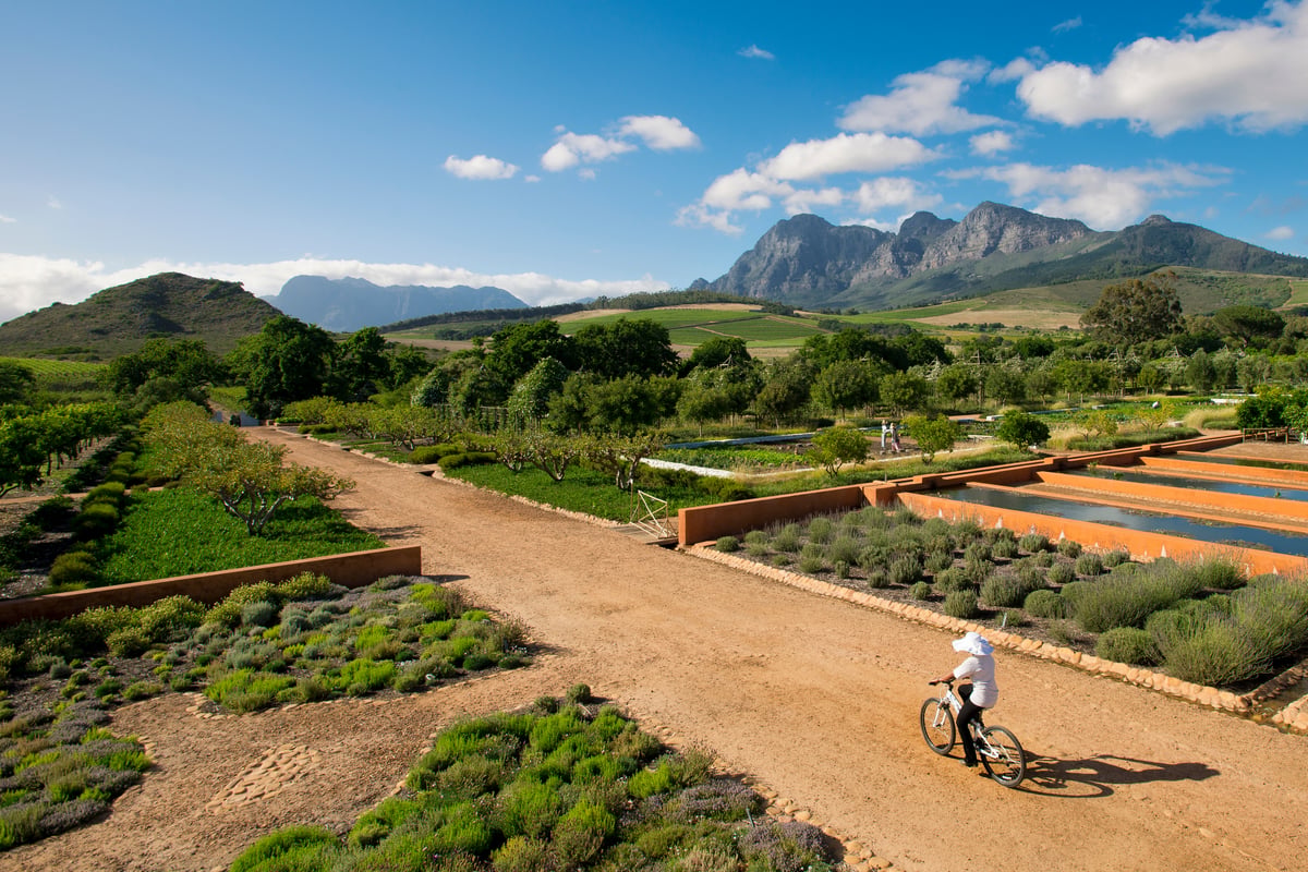 Babylonstoren hotel review: A taste of heaven in the heart of South Africa’s winelands 