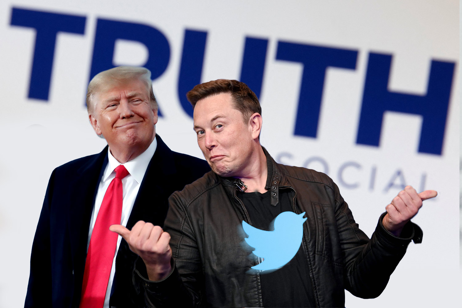 Elon Musk's Donald Trump interview: When is it and how to watch?