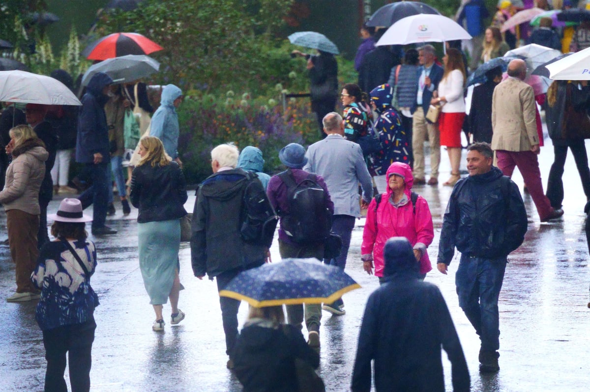 Rainwater no longer safe to drink due to ‘forever chemicals’