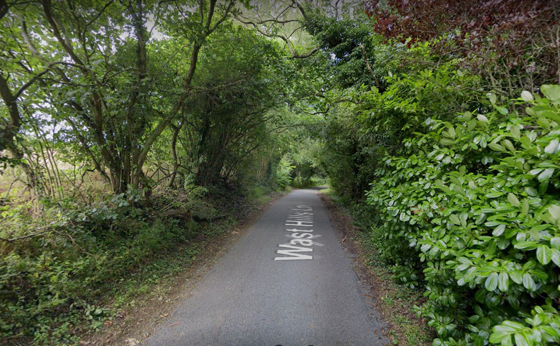 Mystery as woman found dead on narrow country lane by dogwalker