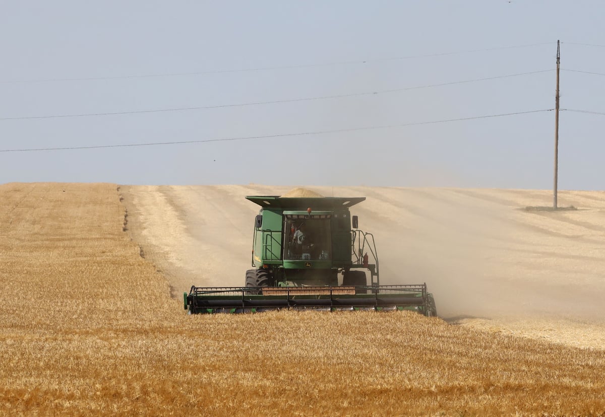 Convoy of ‘grain trains’ could stop Putin’s blockade of Black Sea ports