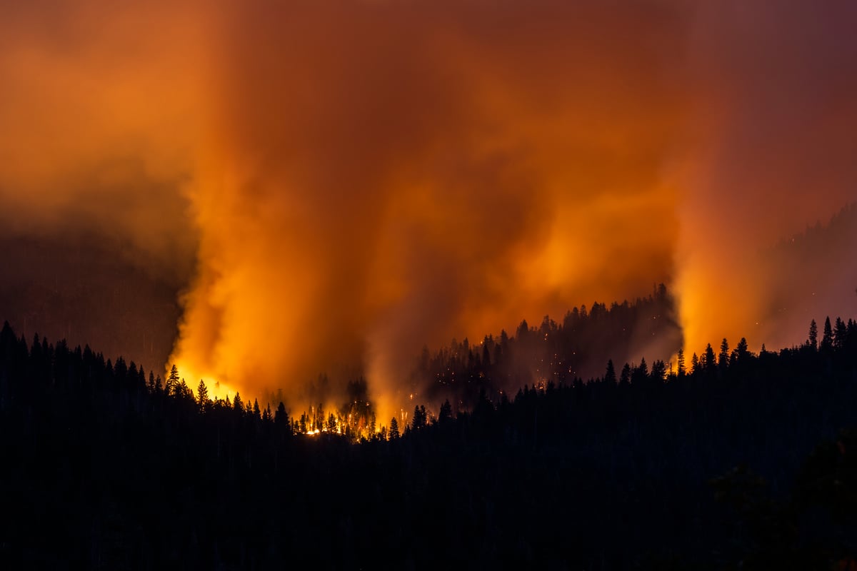 Wildfire threatens Yosemite’s giant sequoias - the world’s largest trees