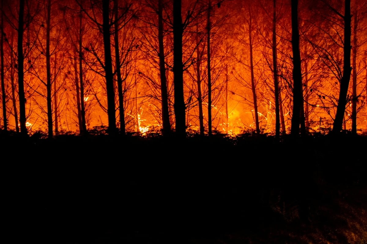 Thousands in France and Spain evacuated as wildfires continue