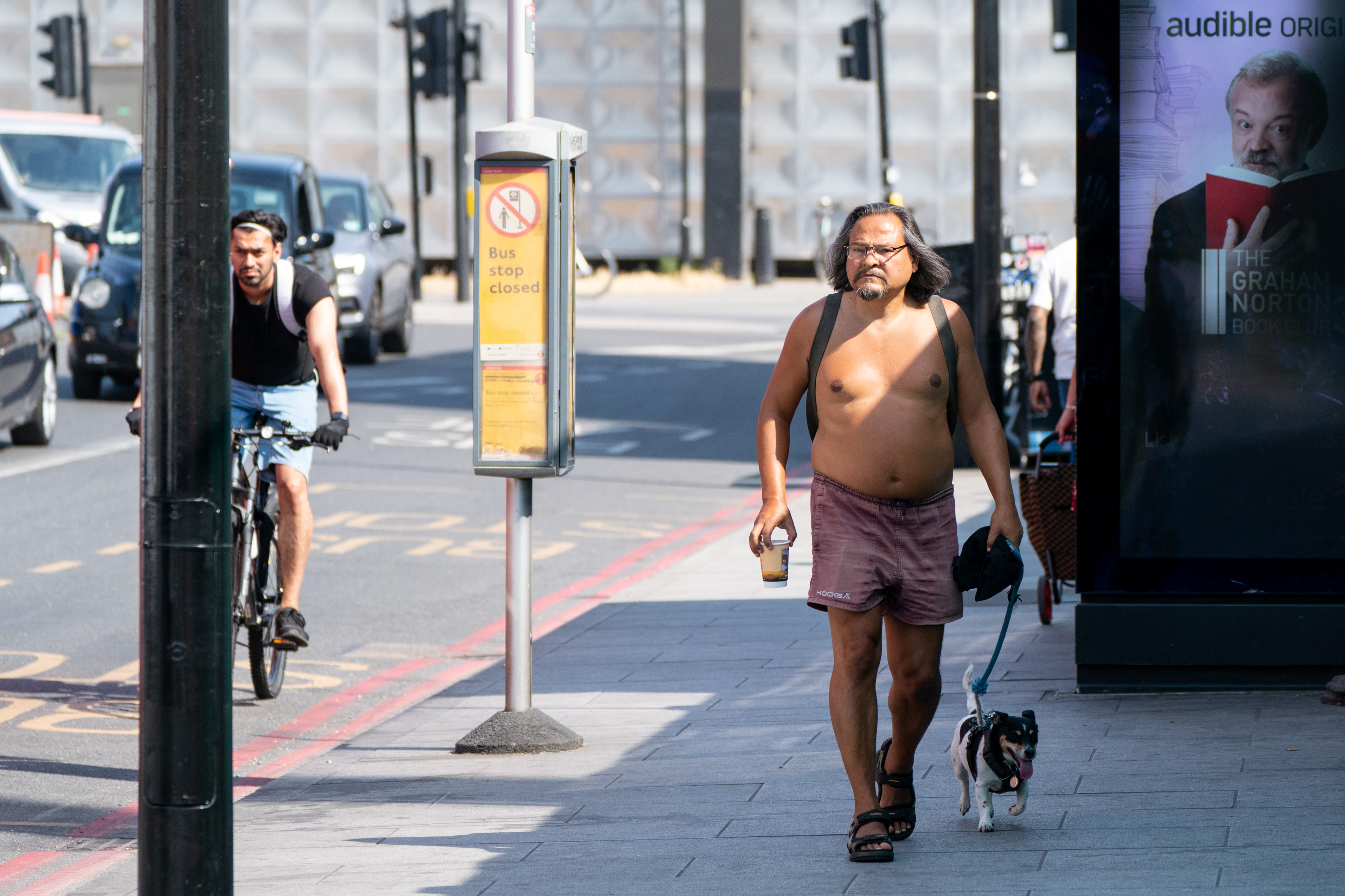 When is it too hot to walk your dog? Mini-heatwave continues in London