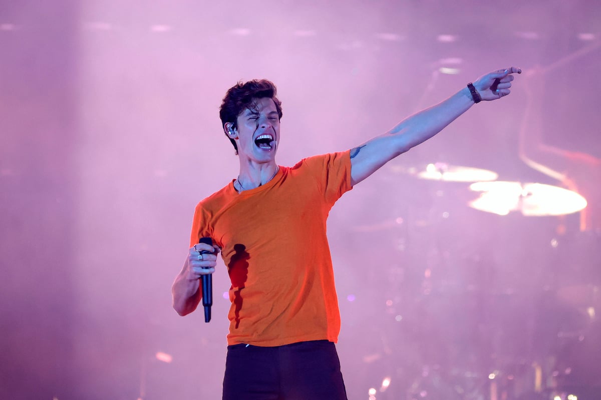 The new rock‘n’roll? Shawn Mendes joins long line of musicians cancelling tours for their mental health