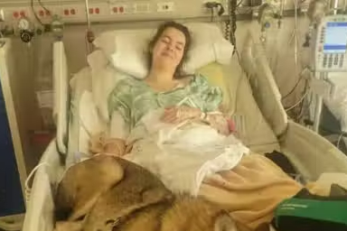 British teen attacked by bison in US faces travel insurance quandary