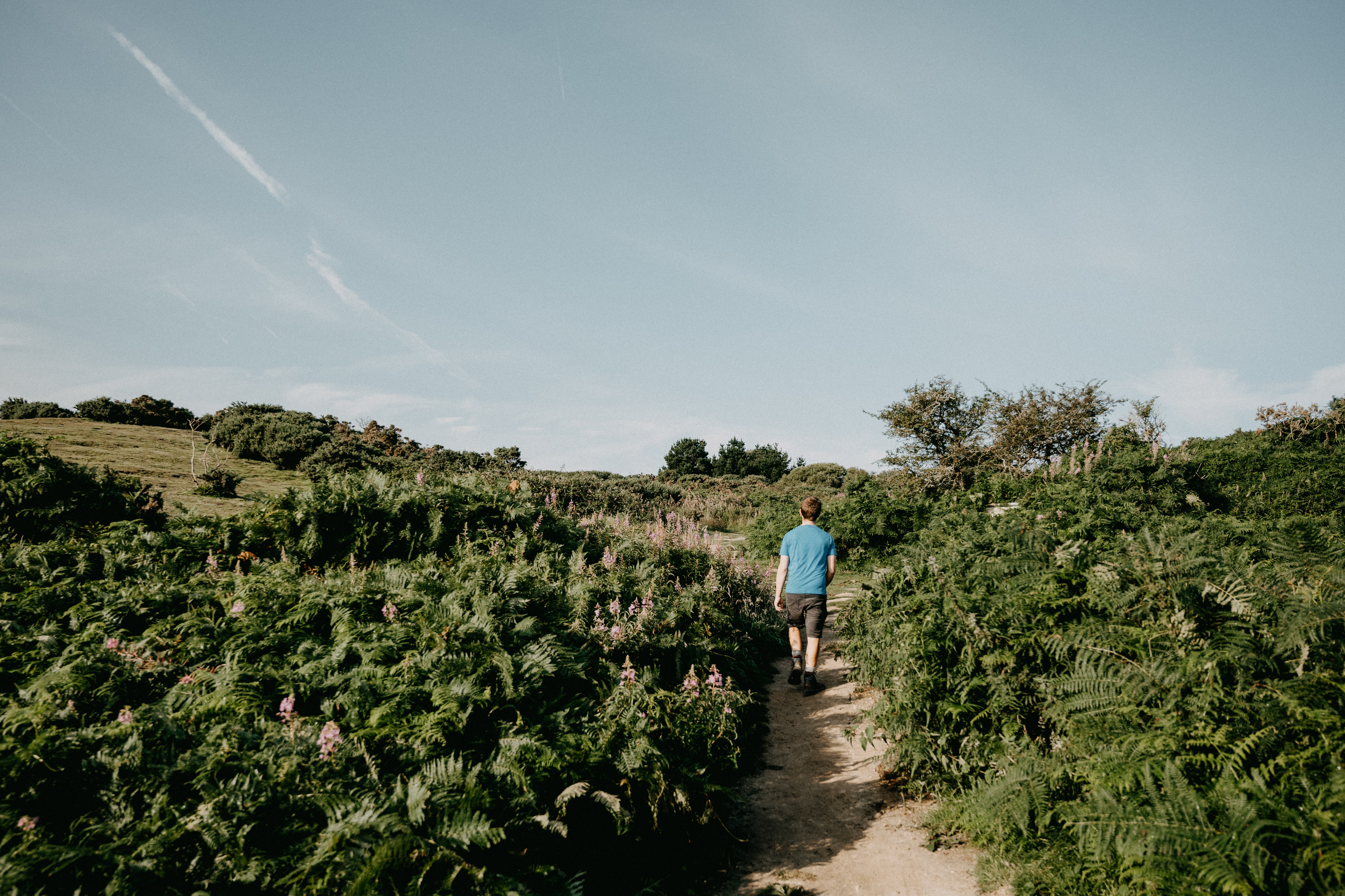 Right to Roam Campaign: What is The Countryside and Rights of Way Act?