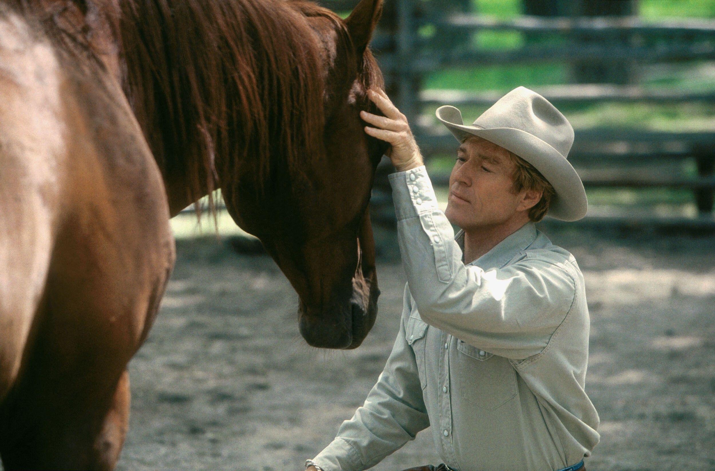 The Horse Whisperer author Nicholas Evans dies aged 72