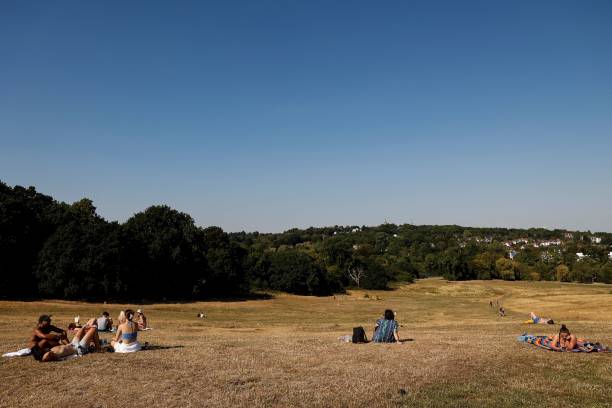 Met officer caught exposing himself on Hampstead Heath dismissed