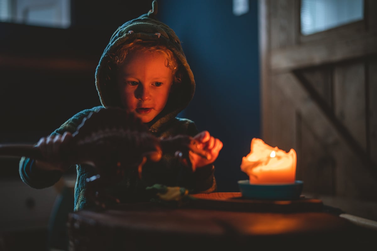 Winter blackouts: How will the money-saving energy scheme work?